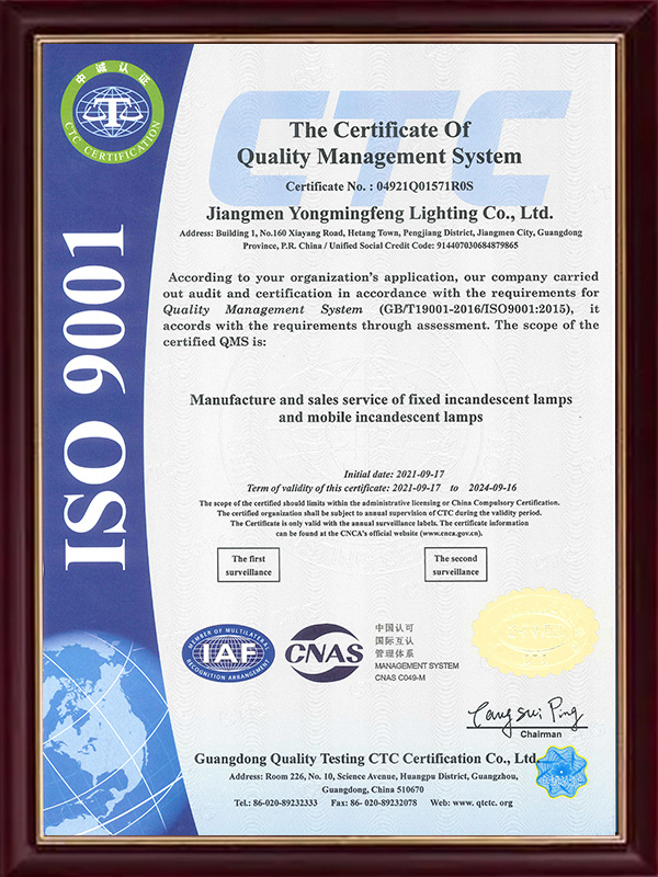 ISO 9001 英